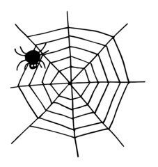 Fototapeta premium Halloween spider web line art hnd drawn
