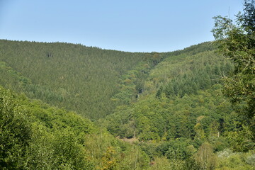 Fototapeta premium L'une des montagnes fortement boisée dominant la vallée de l'Emblève à Coo en Haute Belgique
