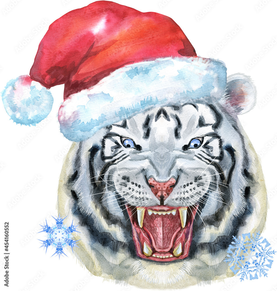 Wall mural Hand drawn Tiger in Santa hat. Watercolor drawing white tiger head, blue eyes