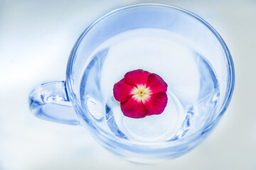 Blue cup with flower on center