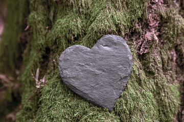 Stone heart shape near a tree. Natural burial grave in the forest. Heart on grass or moss. Tree...