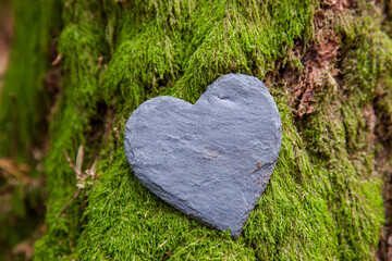 Stone heart shape near a tree. Natural burial grave in the forest. Heart on grass or moss. Tree burial, funeral cemetery and All Saints Day concepts