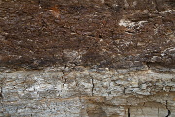 Closeup of a soil profile: a layer of peat on top of a layer of clay