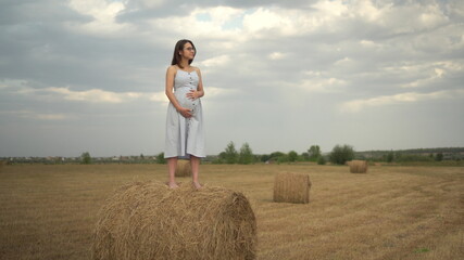 Naklejka na ściany i meble A young pregnant woman stands on a haystack in a field and holds her belly with her hands. Girl with glasses and a blue dress.