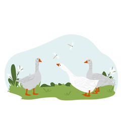 Lovely country rural landscape, Geese graze, flowers, pasture. Farm domestic birds. Isolated character on a white background. Vector illustration in a flat style.