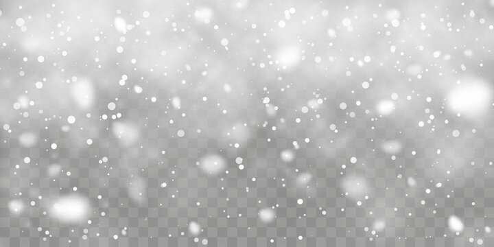 Christmas snow. Falling snowflakes on transparent background. Snowfall. Vector illustration