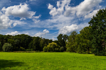 Wald Wiese Lichtung Bäume Gras grün Himmel Wolken Landschaft Szenerie bewölkt blauer Himmel...