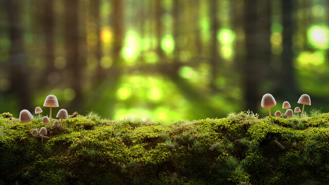 Small mushrooms in a green moss autumn forest background with sun rays and copy space. 3d illustration