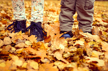 children's feet in shoes in a pile of autumn fallen orange leaves in an fall forest or park....