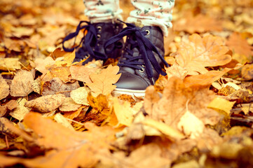 children's feet in shoes in a pile of autumn fallen orange leaves in an fall forest or park....