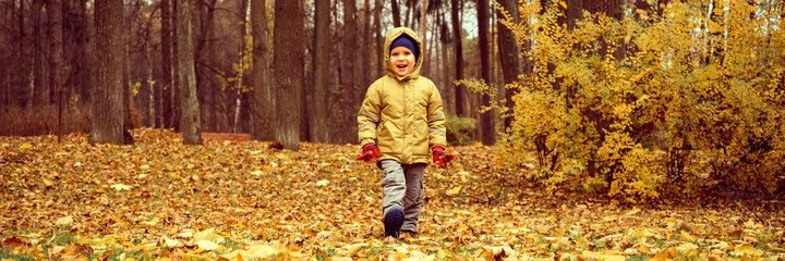 a little four year old kid happy smiling boy walks in an autumn forest or park. banner