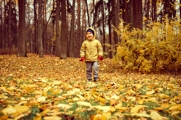 a little four year old kid happy smiling boy walks in an autumn forest or park