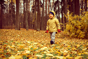 a little four year old kid happy smiling boy walks in an autumn forest or park