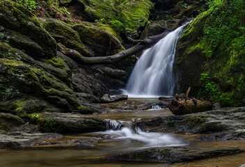 Fototapeta premium waterfall in the forest