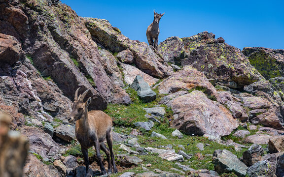 Etagne et enfants sur la cr&ecirc;te