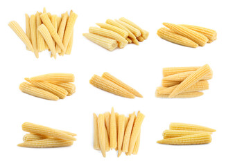 Set with tasty baby corn cobs on white background