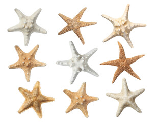 Fototapeta na wymiar Set with beautiful sea stars on white background