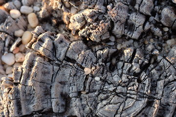 Old pier stump fill of small pebbles at sunset on a Cape May NJ beach