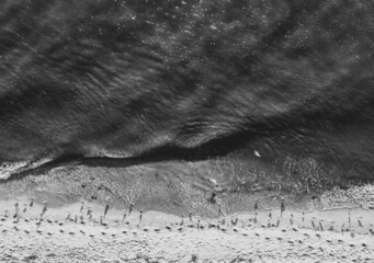 Seagulls line the Cape May Shoreline at sunset as seen from a drone