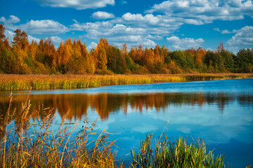 Fototapeta na wymiar Autumn landscape with lake and the forest on the shore.