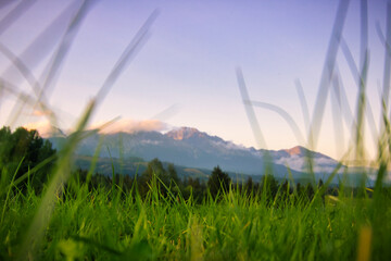 High Tatras mountain from ground level