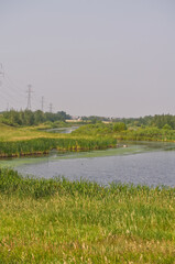 Pylypow Wetlands on a Hot Smoky Day