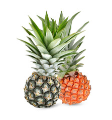 Fototapeta premium two pineapple fruits yellow and green color .Summer fruits for healthy lifestyle. Organic fruit isolated on a white background .