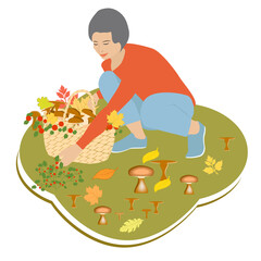 Woman collects mushrooms and berries in a wicker basket - isolated on white background. Autumn season.
