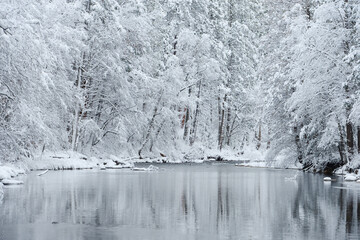 Yosemite Winter