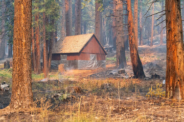 Remote cabin wrapped in alumnied fire retardant to save it from flames. - obrazy, fototapety, plakaty