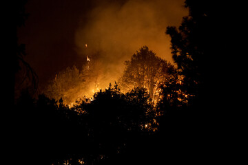 Naklejka premium Flames approaching Highway 50 during Caldor Fire in California