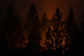 Fototapeta premium Flames approaching Highway 50 during Caldor Fire in California