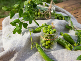 Fresh young green peas in the glass bottle, outdoors, close up, top view