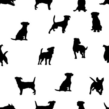 Jack Russell Terrier pattern, dog realistic, black and white, pattern for decoration, packaging and printing