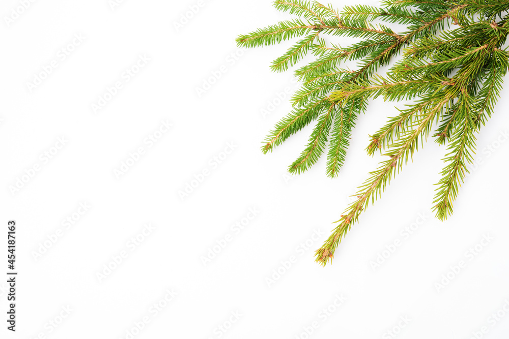 Wall mural christmas white background with a spruce branch, flat lay