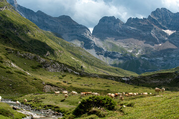 cirque d'Estaubé, Pyrénées, France © AustralianDream