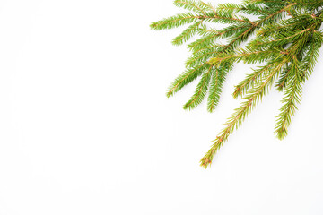 Christmas white background with a spruce branch, flat lay