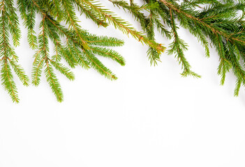 Christmas white background with a spruce branch, flat lay, top view