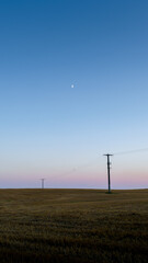 Obraz premium Blue Hour Field