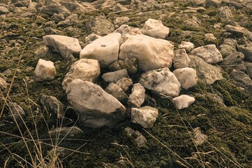 Pile of quartz in the meadow.