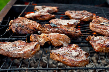 Slice pieces of meat on the grill. barbecue at the festival. Cheese and roasted veal on skewers.