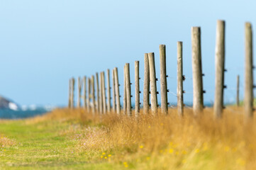 View of a wooden fence, pasture field, summer feeling. Shallow depth of field, out of focus and blurred. Photography with a dreamy look. Copy space with place for text, lettering.