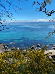 rocky coast of the sea