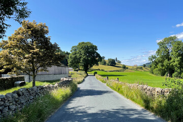 Fototapeta na wymiar Country road, with stone walls, farm buildings, and a blue sky near, Ramsgill, Pateley Bridge, UK