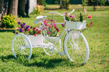 Decorative Retro Vintage Model Bicycle Equipped Basket Flowers Garden In Sunny Summer Day. Summer...
