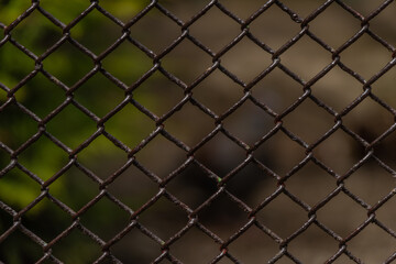 Cage with iron net and fence in ZOO garden
