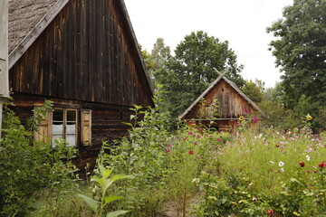 Fototapeta na wymiar Chata drewniana rustykalna na wsi latem