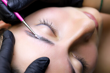 the model lies on the procedure of lamination of the eyebrows the master applies the composition...