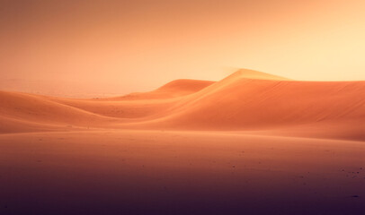 Fototapeta na wymiar sunset in the desert country