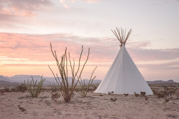 sunset in the desert © Brandi Nellis